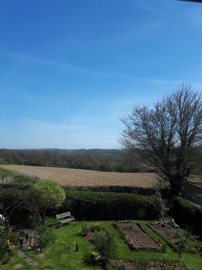 Court Barn Cottage B&B Burwash 外观 照片